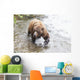 Grizzly bear fishing for sockeye salmon at Brooks Falls Wall Mural