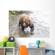 Grizzly bear fishing for sockeye salmon at Brooks Falls Wall Mural