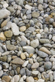 Pebbles Wall Decal