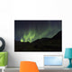Aurora Borealis dancing Wall Mural