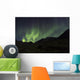 Aurora Borealis dancing Wall Mural