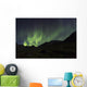 Aurora Borealis dancing Wall Mural