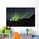 Aurora Borealis dancing Wall Mural