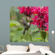 A hummingbird hovers by a bright pink blossoming flower Wall Mural