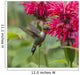 A hummingbird hovers by a bright pink blossoming flower Wall Mural