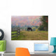 Horse grazing in early morning light and fog in autumn Wall Mural