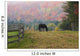 Horse grazing in early morning light and fog in autumn Wall Mural