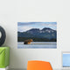 Coastal Brown Bear walking through salmon spawning stream by Kukak Bay Wall Mural