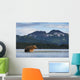 Coastal Brown Bear walking through salmon spawning stream by Kukak Bay Wall Mural