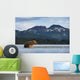Coastal Brown Bear walking through salmon spawning stream by Kukak Bay Wall Mural