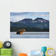Coastal Brown Bear walking through salmon spawning stream by Kukak Bay Wall Mural