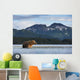 Coastal Brown Bear walking through salmon spawning stream by Kukak Bay Wall Mural