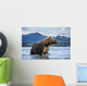 Coastal Brown Bear standing in salmon spawning stream by Kukak Bay Wall Mural