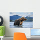 Coastal Brown Bear standing in salmon spawning stream by Kukak Bay Wall Mural