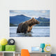 Coastal Brown Bear standing in salmon spawning stream by Kukak Bay Wall Mural