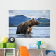 Coastal Brown Bear standing in salmon spawning stream by Kukak Bay Wall Mural