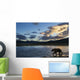 Coastal Brown Bear walks along salmon spawning stream Wall Mural