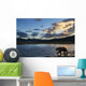 Coastal Brown Bear walks along salmon spawning stream Wall Mural