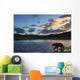 Coastal Brown Bear walks along salmon spawning stream Wall Mural