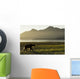 Coastal Brown Bear walking along shoreline at dawn along Kukak Bay Wall Mural