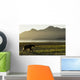 Coastal Brown Bear walking along shoreline at dawn along Kukak Bay Wall Mural