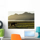 Coastal Brown Bear walking along shoreline at dawn along Kukak Bay Wall Mural