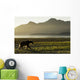 Coastal Brown Bear walking along shoreline at dawn along Kukak Bay Wall Mural