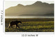 Coastal Brown Bear walking along shoreline at dawn along Kukak Bay Wall Mural