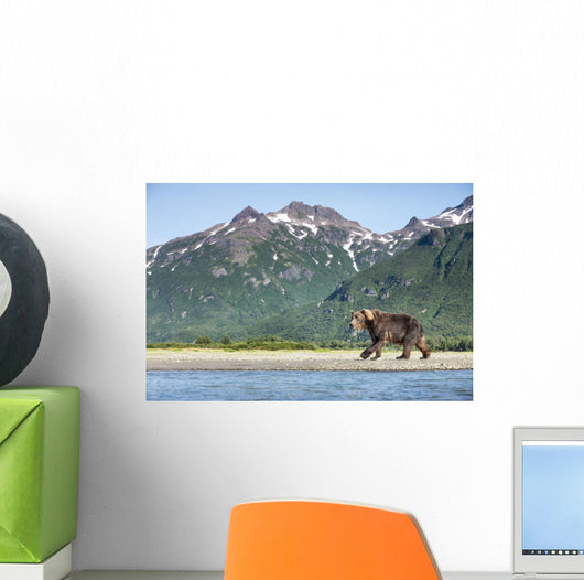 Coastal Brown Bear walking beneath mountain peaks along Kukak Bay Wall Mural