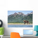 Coastal Brown Bear walking beneath mountain peaks along Kukak Bay Wall Mural