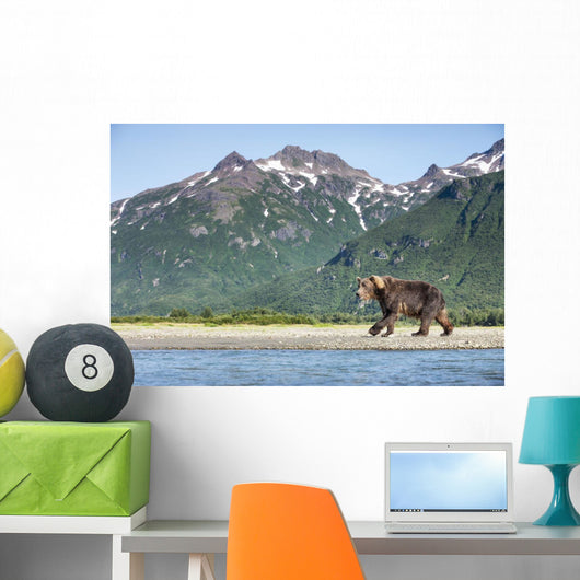 Coastal Brown Bear walking beneath mountain peaks along Kukak Bay Wall Mural