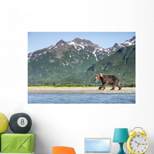 Coastal Brown Bear walking beneath mountain peaks along Kukak Bay Wall Mural