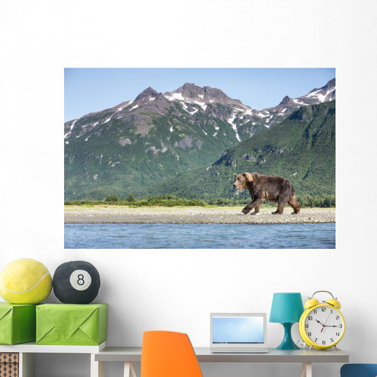Coastal Brown Bear walking beneath mountain peaks along Kukak Bay Wall Mural