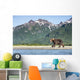 Coastal Brown Bear walking beneath mountain peaks along Kukak Bay Wall Mural