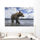 Wide angle view of Coastal Brown Bear walking Wall Mural