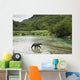 Coastal Brown Bear walking through spawning salmon stream Wall Mural