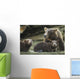 Coastal Brown Bear spring cubs and mother Wall Mural