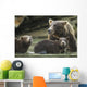 Coastal Brown Bear spring cubs and mother Wall Mural