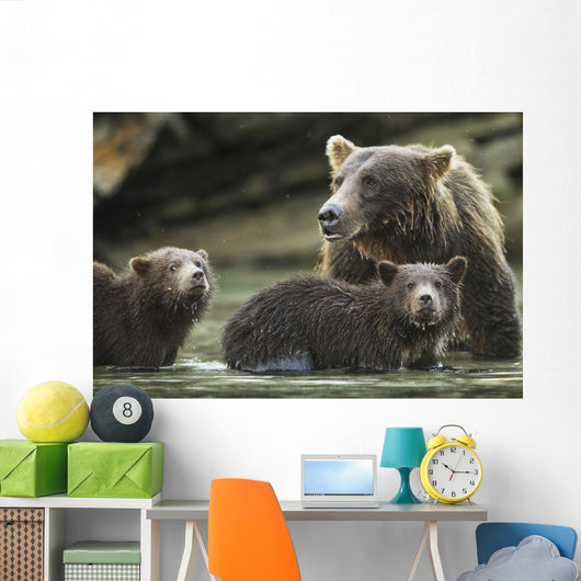 Coastal Brown Bear spring cubs and mother Wall Mural