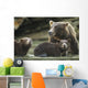 Coastal Brown Bear spring cubs and mother Wall Mural