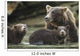 Coastal Brown Bear spring cubs and mother Wall Mural