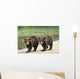 Two Coastal Brown Bear Spring Cubs walking Wall Mural