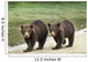 Two Coastal Brown Bear Spring Cubs walking Wall Mural