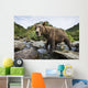 Close-up view of Coastal Brown Bear fishing for spawning salmon Wall Mural