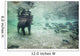 Underwater view of Coastal Brown Bear fishing for spawning salmon Wall Mural