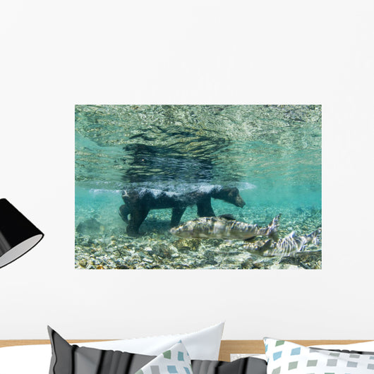 Underwater view of Coastal Brown Bear wading Wall Mural
