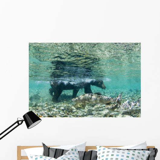 Underwater view of Coastal Brown Bear wading Wall Mural