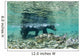 Underwater view of Coastal Brown Bear wading Wall Mural