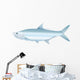 Tarpon - Vector Illustration of Saltwater Fish. Wall Decal