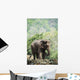 Baby elephant Wall Mural